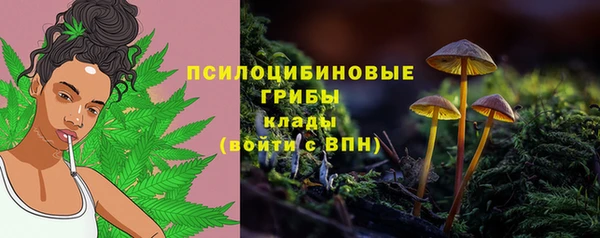 ПСИЛОЦИБИНОВЫЕ ГРИБЫ Абинск